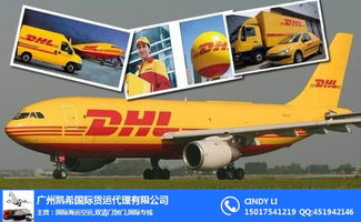 大洋洲高效物流紐帶 奧克蘭惠靈頓空運(yùn)代理、新西蘭空運(yùn)公司與澳大利亞貨代物流